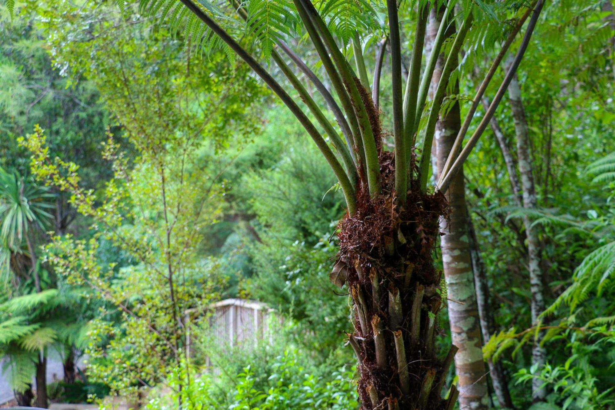 Tree Tops Retreat Holiday home *